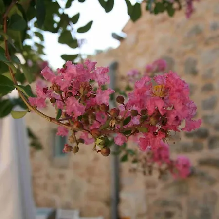 Ξενοδοχείο Village Balatura - Exclusive Veggie 4*