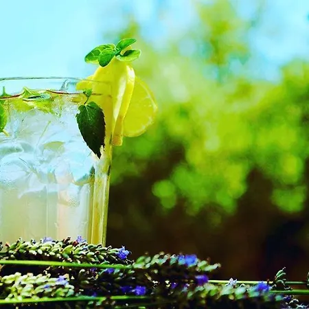 Hotel Village Balatura - Exclusive Veggie 4*