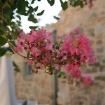 מלון Village Balatura - Exclusive Veggie 4*