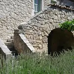 Village Balatura - Exclusive Veggie טריבאלי