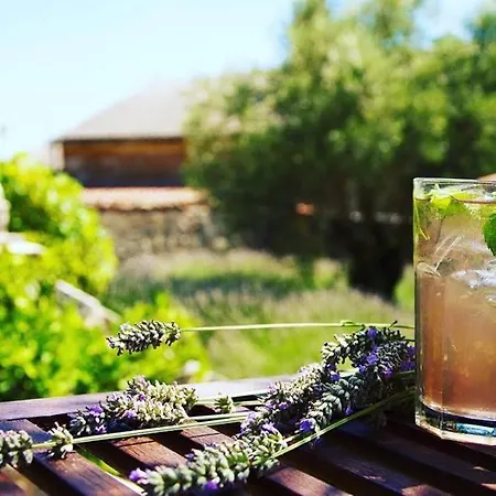 Hotel Village Balatura - Exclusive Veggie Tribalj (Primorsko-Goranska)