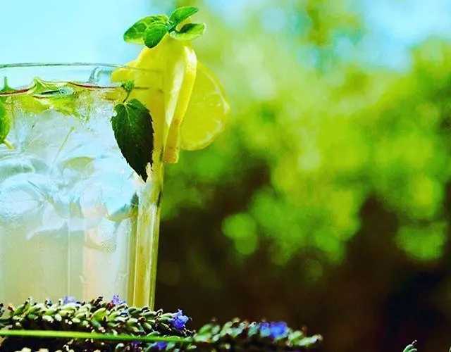 Отель Village Balatura - Exclusive Veggie 4*